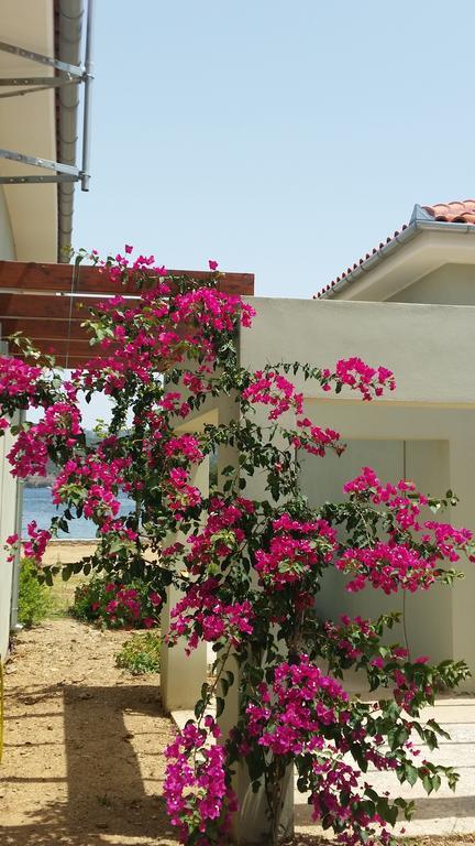 Thea Houses 米利纳 外观 照片